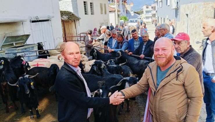 Bozdoğan Yazıkent’te Kurban Pazarı hareketlendi