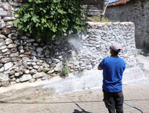 Bozdoğan’da haşereye karşı kireçleme çalışmaları sürüyor