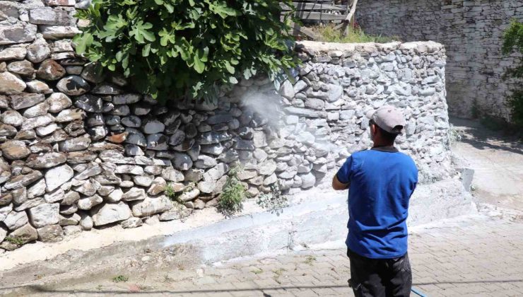 Bozdoğan’da haşereye karşı kireçleme çalışmaları sürüyor