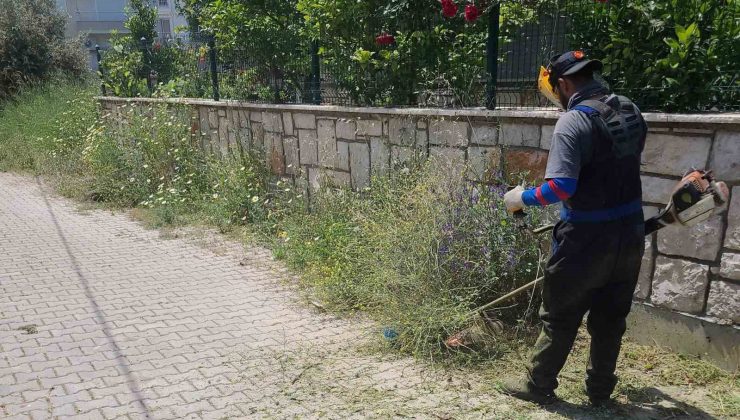Didim Belediyesi ekipleri ilçe genelinde çalışmalarını sürdürüyor