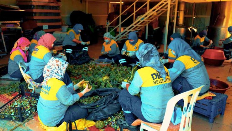 Didim Belediyesi’nin doğal ürünleri halkla buluşuyor