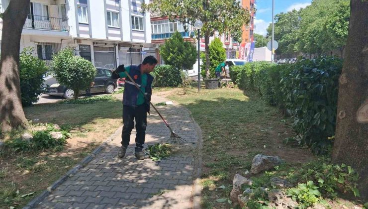 Efeler’de parklar yaza hazırlanıyor