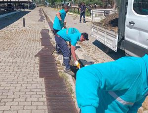 Hayvan pazarında bayram mesaisi başladı