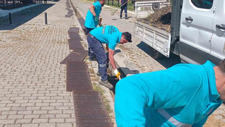 Hayvan pazarında bayram mesaisi başladı