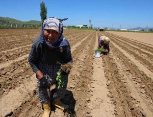 İşçi Bayramı’nın öteki yüzü
