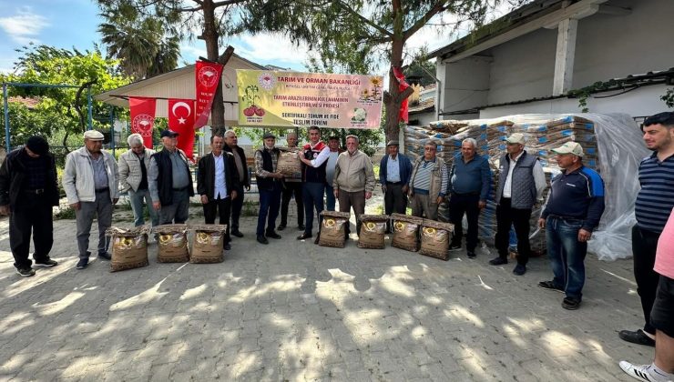 Koçarlı’da 3 bin kilo ayçiçeği tohumu üreticilere dağıtıldı