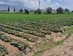 Köşk’te sel sonrası arazilerde hasar tespiti başlatıldı