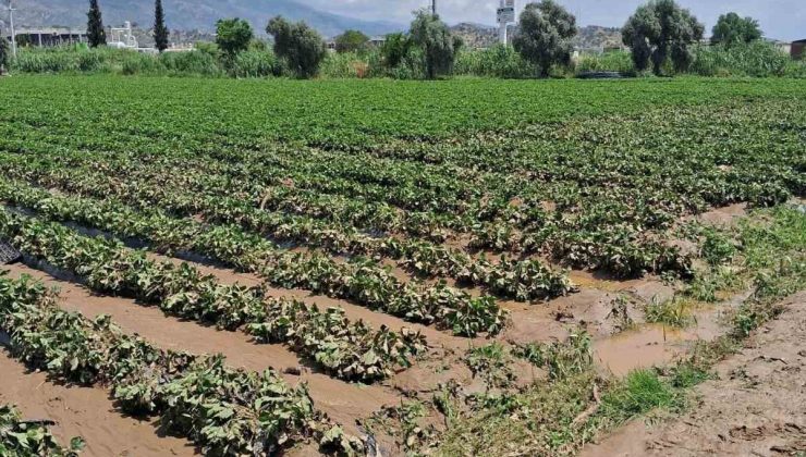 Köşk’te sel sonrası arazilerde hasar tespiti başlatıldı