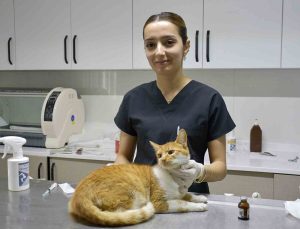 Kuşadası’nda sokak hayvanlarına ücretsiz şifa eli