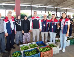 Aydın inciri için denetimler sürüyor