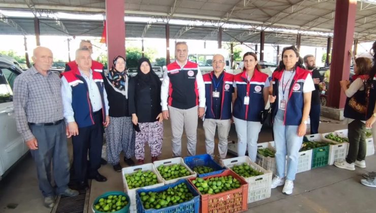 Aydın inciri için denetimler sürüyor