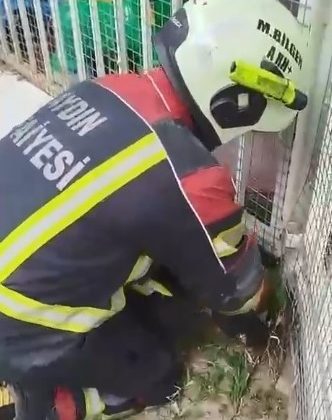 Aydın itfaiyesinden kirpi operasyonu