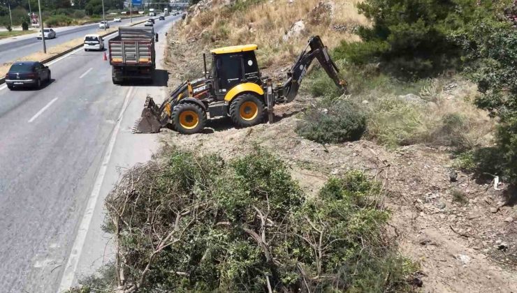 Aydın Orman İşletme’den yangınlara karşı yol kenarı temizliği