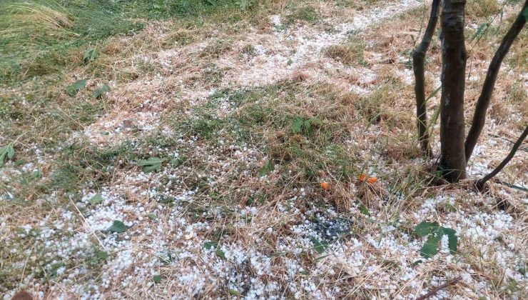 Aydın’da dolu etkili oldu, ağaçlar zarar gördü