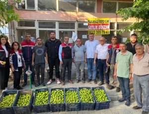 Aydın’da ilek pazarı denetimleri aralıksız sürüyor