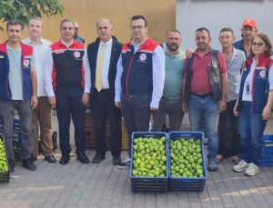 Aydın’ın dünya markası inciri için sahada yoğun mesai