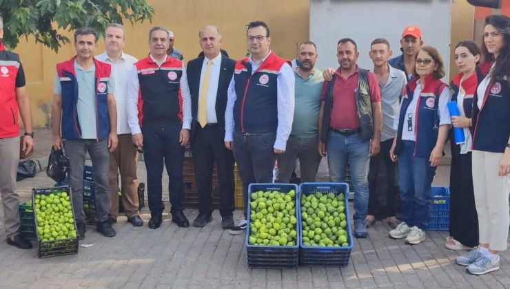 Aydın’ın dünya markası inciri için sahada yoğun mesai