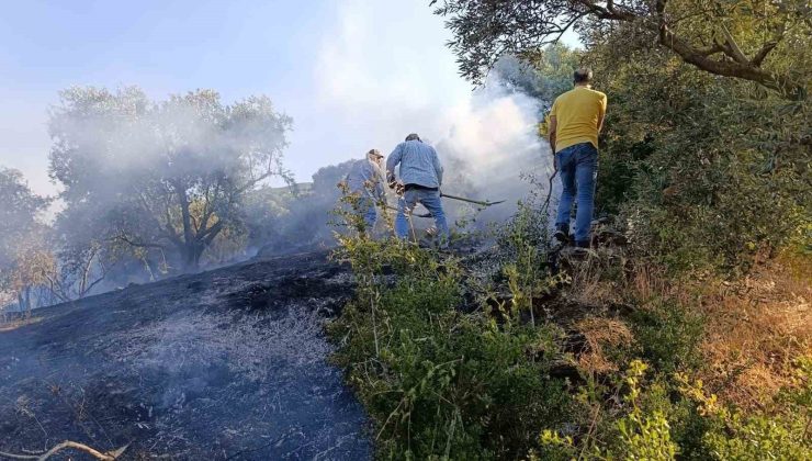 Bozdoğan’da arazi yangını