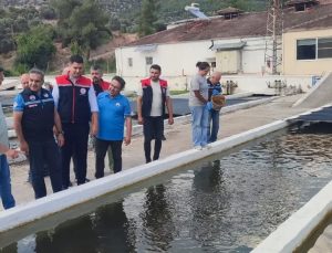 Bozdoğan’da su ürünleri üretimi 3 bin 696 tona ulaştı