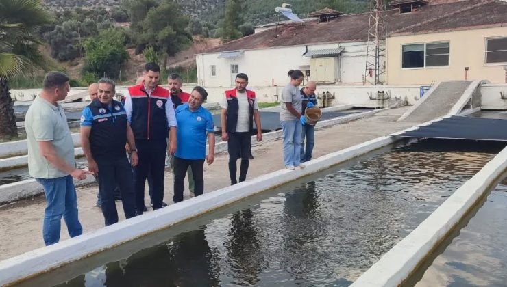 Bozdoğan’da su ürünleri üretimi 3 bin 696 tona ulaştı
