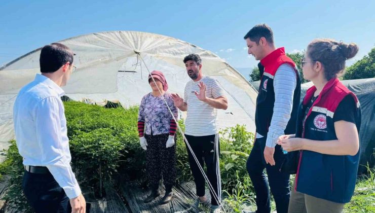 Bozdoğan’da tarımsal üretim sahada değerlendirildi