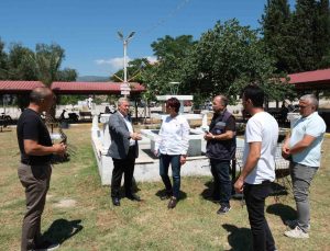 Buharkent’te Gençlik Parkı yenileniyor