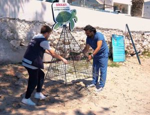 Didim Belediyesi deniz kaplumbağalarının yuvalama alanlarını koruma altına aldı