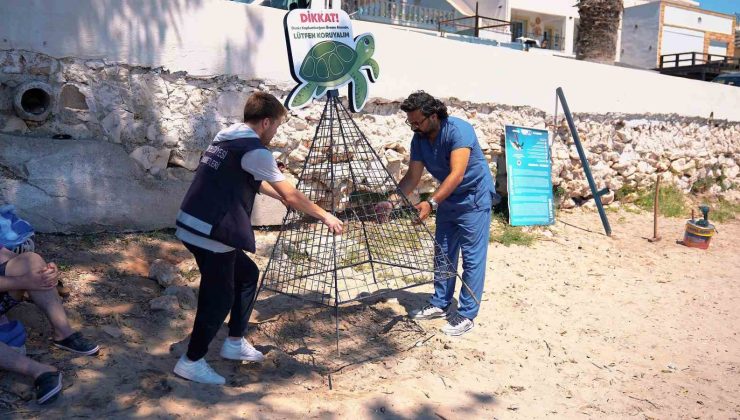 Didim Belediyesi deniz kaplumbağalarının yuvalama alanlarını koruma altına aldı