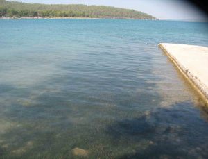 Didim’in deniz suyu kalitesi dikkat çekti