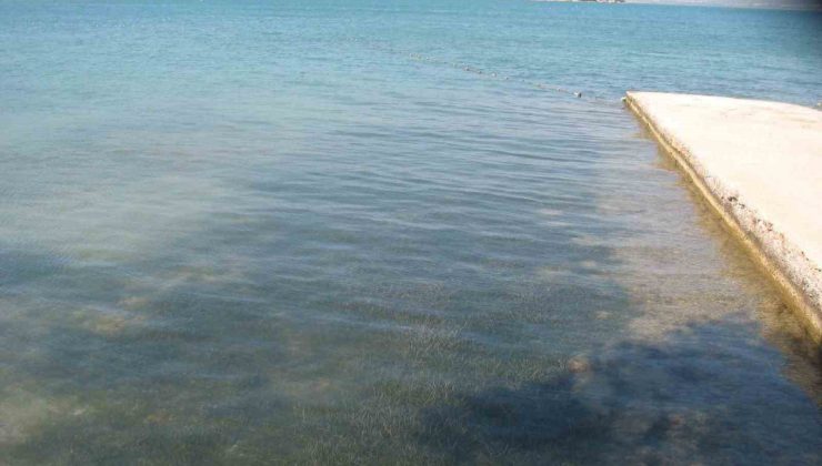 Didim’in deniz suyu kalitesi dikkat çekti