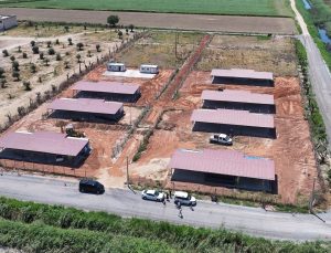 Efeler Belediyesi’nden sokak hayvanları için yeni yaşam alanı