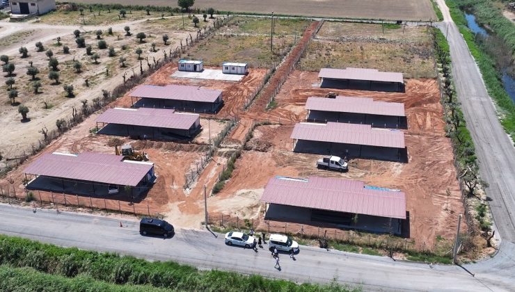 Efeler Belediyesi’nden sokak hayvanları için yeni yaşam alanı