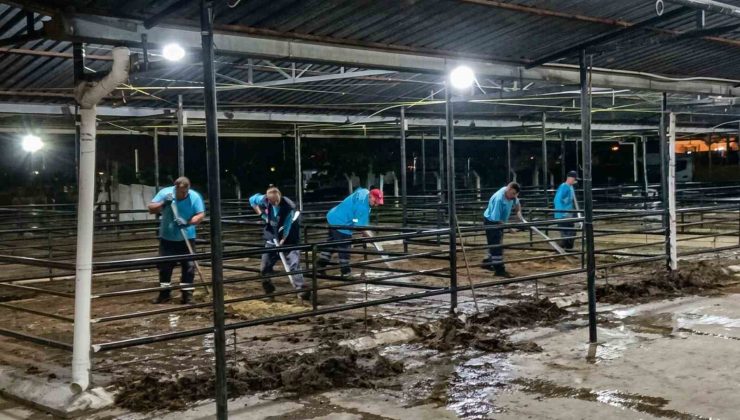 Efeler’de bayram sonrası kapsamlı temizlik seferberliği