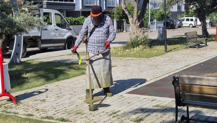 Efeler’de yeşil alanlarda yaz temizliği