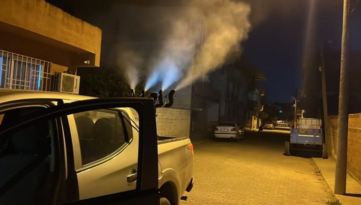 Germencik’te sivrisinek ve haşerelere karşı gece ilaçlaması