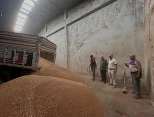 Koçarlı’da ilk hububat alımı gerçekleştirildi