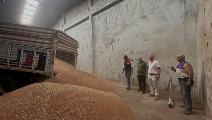 Koçarlı’da ilk hububat alımı gerçekleştirildi