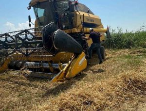 Köşk’te hububat hasadında dane kaybına karşı sıkı denetim