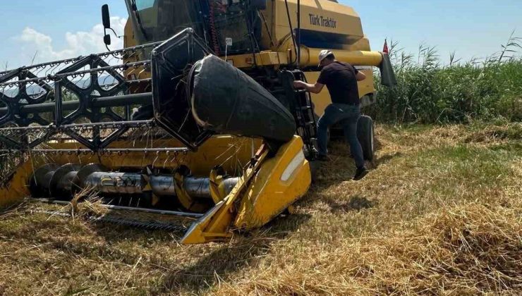 Köşk’te hububat hasadında dane kaybına karşı sıkı denetim