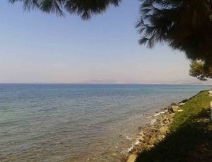 Kuşadası’nda deniz suyu kalitesi yüz güldürdü