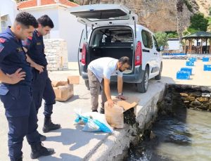 Söke’de kaçak su ürünleri nakline geçit verilmedi