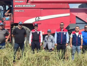 Söke’de kanola hasadı gerçekleştirildi