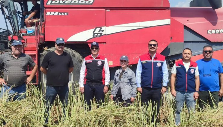Söke’de kanola hasadı gerçekleştirildi