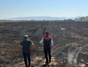 Söke’de yangından zarar gören tarım arazileri incelendi