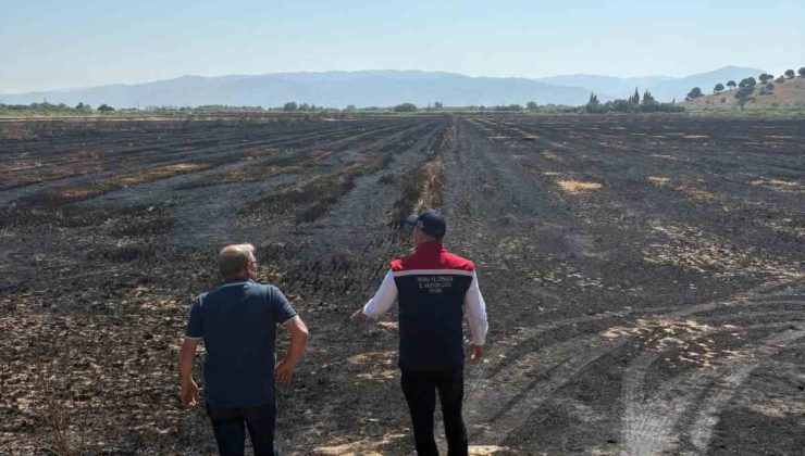 Söke’de yangından zarar gören tarım arazileri incelendi