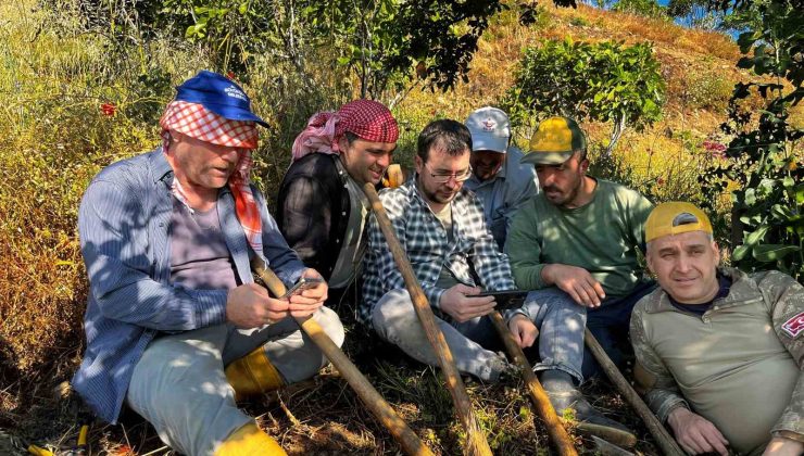Tarlada mesaiye milli maç arası