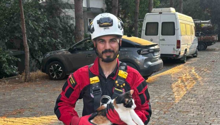Üç gündür ağaçta mahsur kalan kedi kurtarıldı