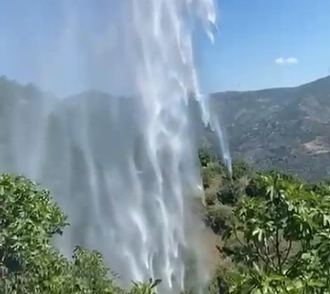 Yemek ısıtmak için yaktığı ateş incir bahçesini kül etti