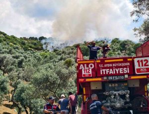Yenipazar’daki makilik yangını kontrol altına alındı