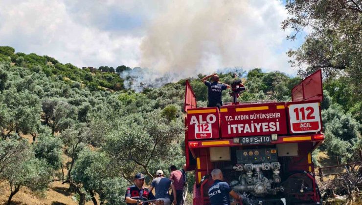 Yenipazar’daki makilik yangını kontrol altına alındı